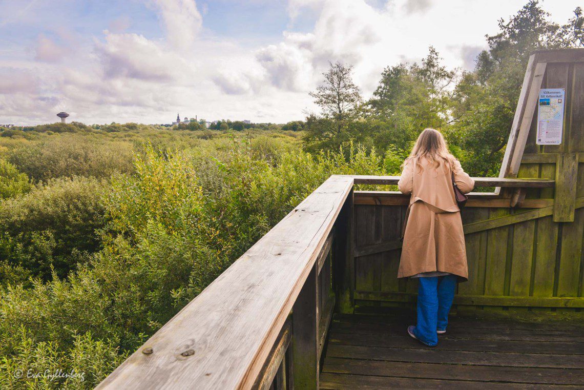 Härlövsborgstornet utefter Linnérundan
