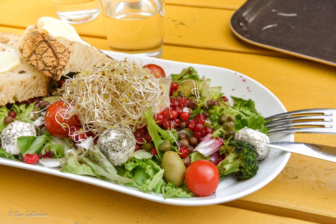 Sallad med labneh och grönsaker 