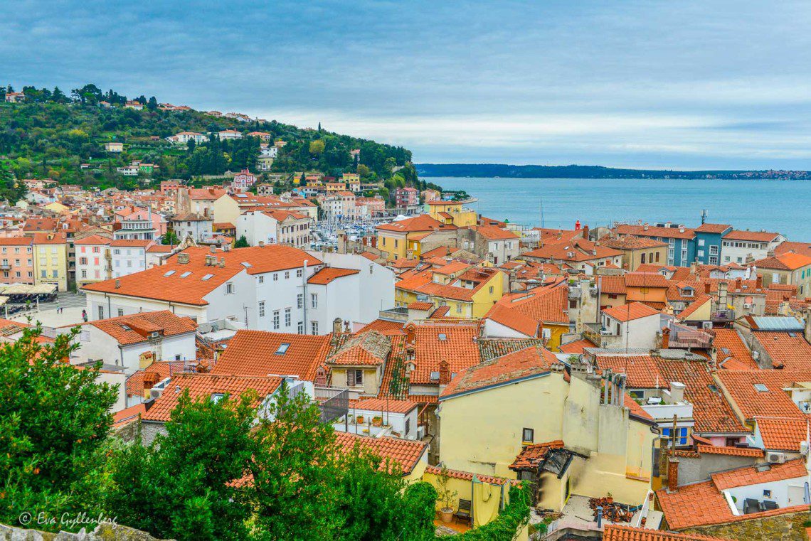The piran from above