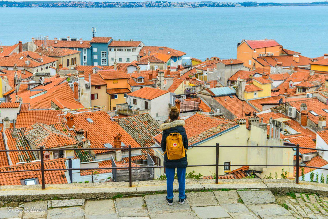 Utsikt från kyrkan i Piran