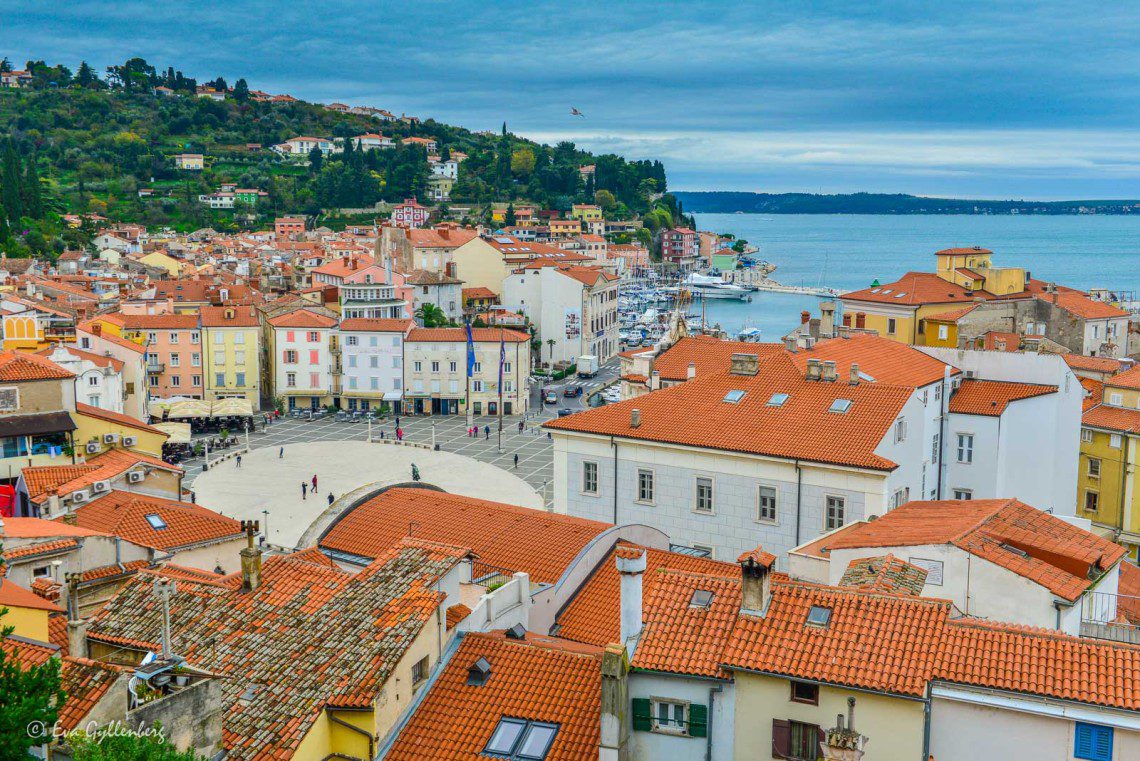 Torget i Piran