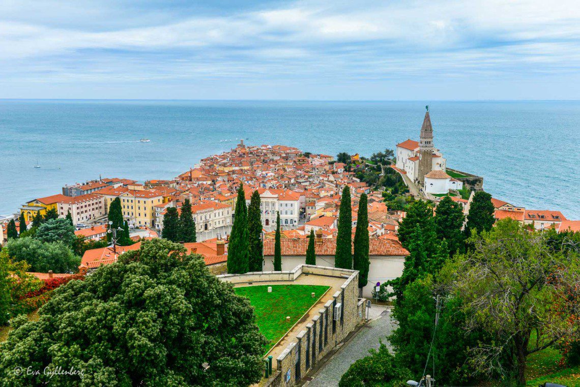 Utsikt över Piran