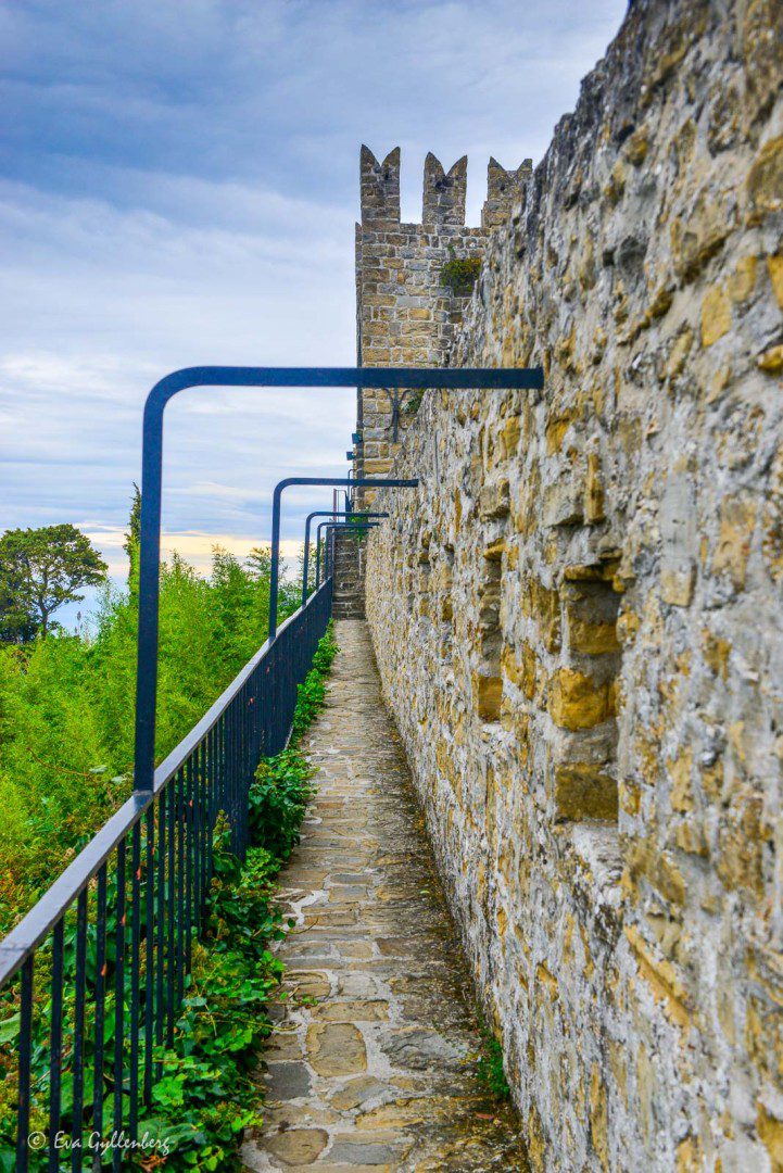 Muren i Piran