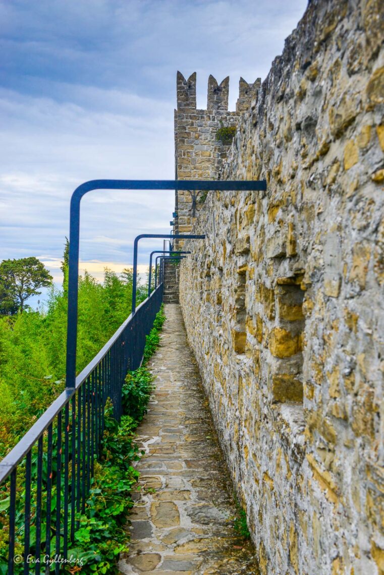 The wall in Piran
