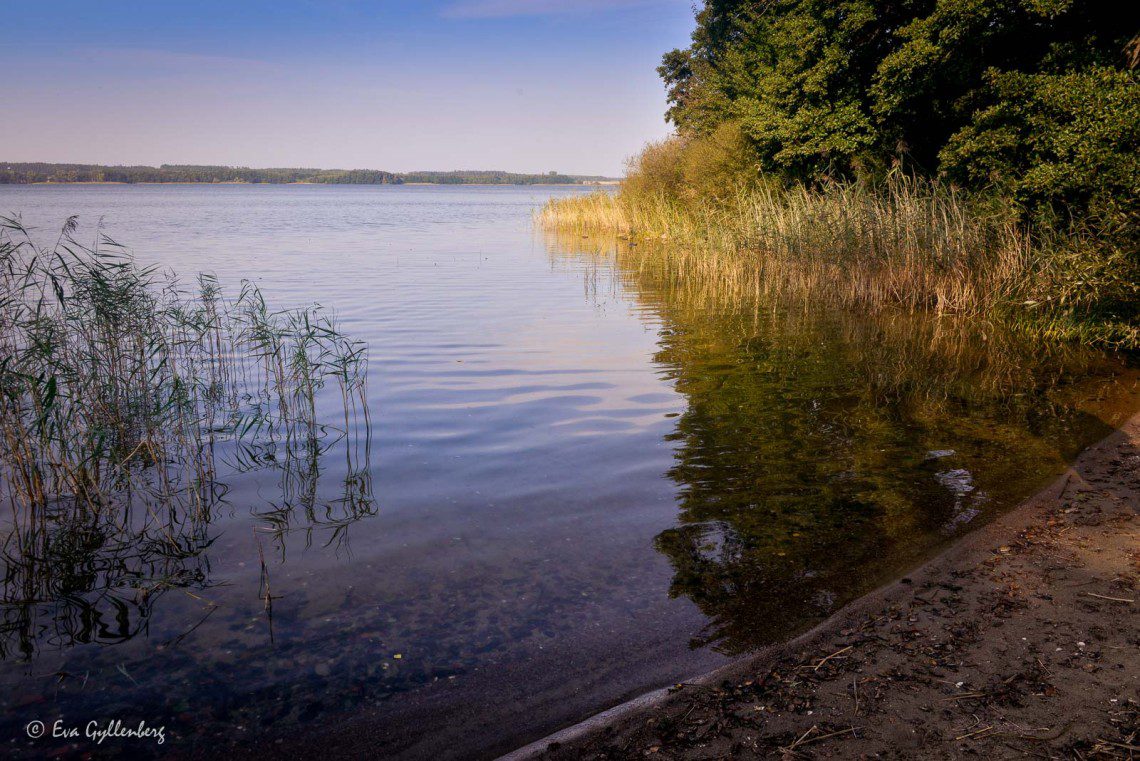 Strand vid Oppmannasjön vid Bäckaskog slott