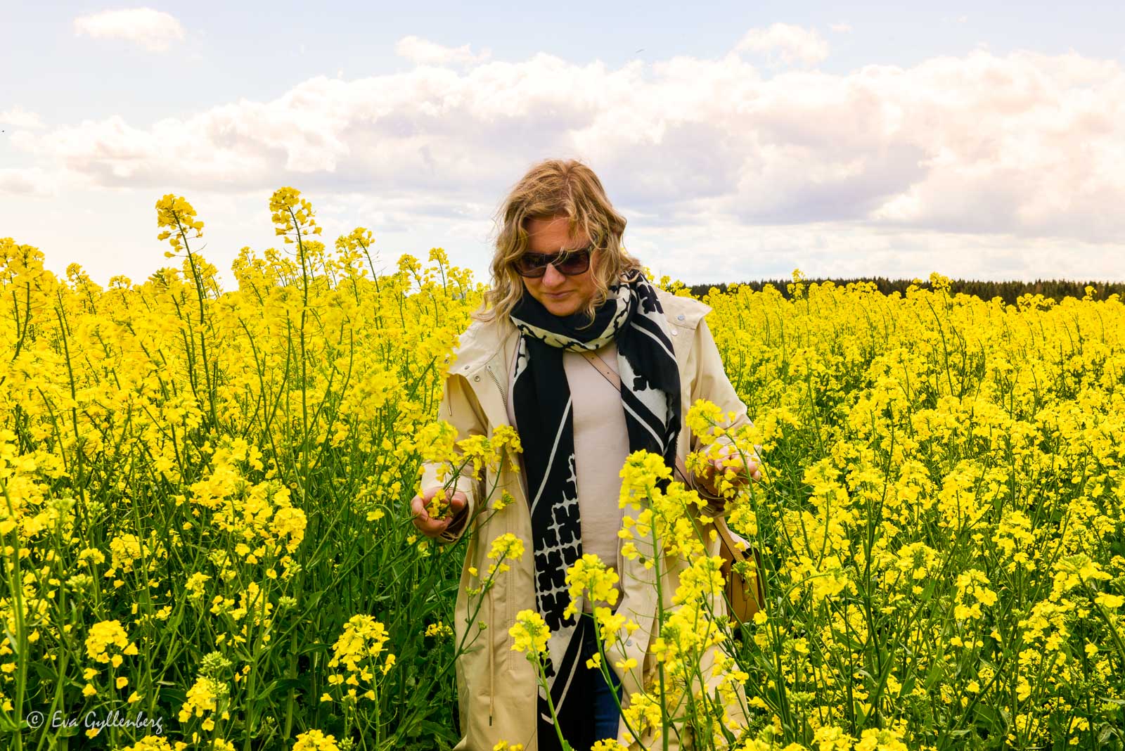 Eva among the rape fields