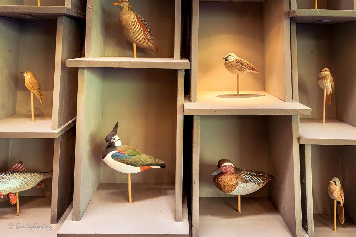 Tåkern naturreservat - Naturum