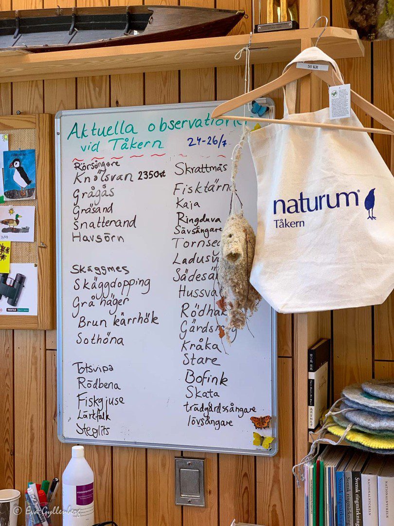 Tåkern naturreservat - Naturum