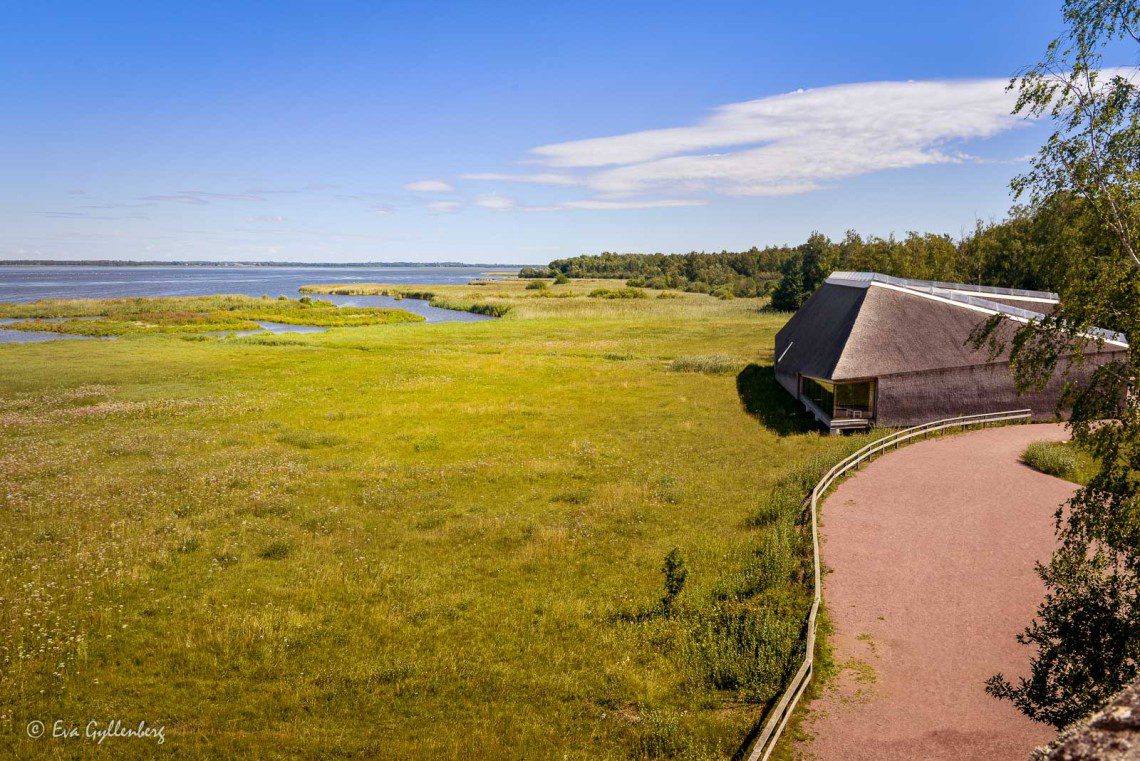 Utsikt över naturum vid Tåkern