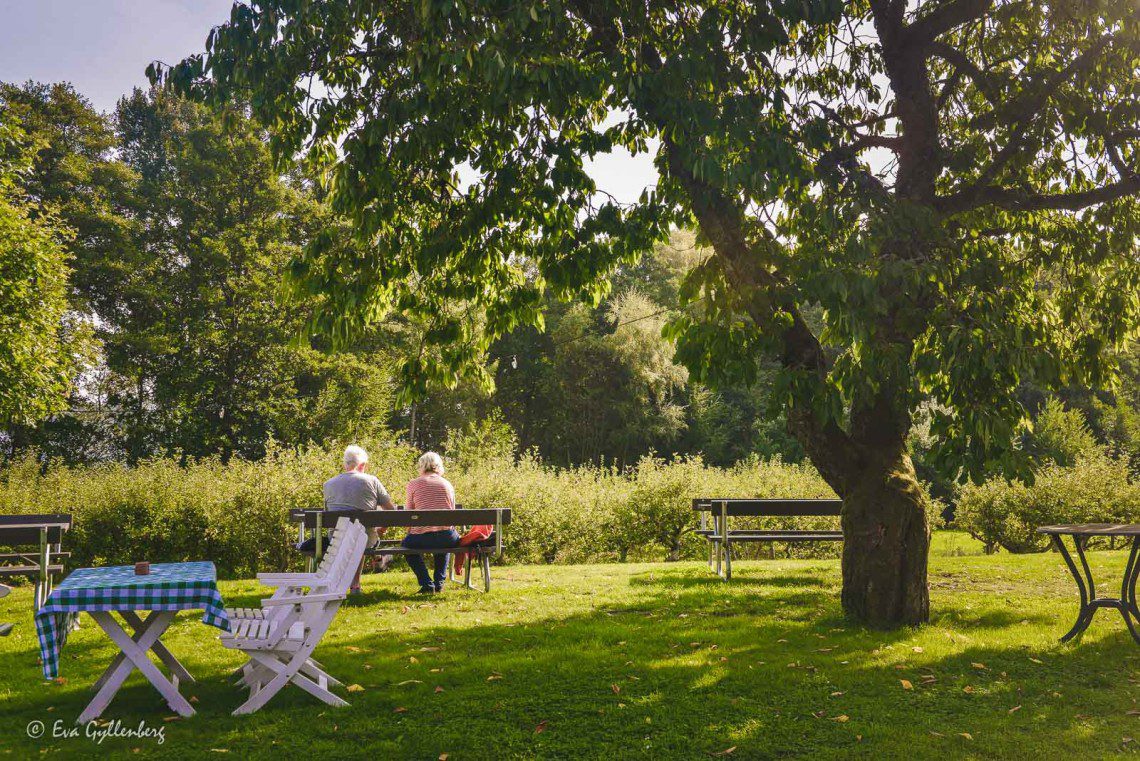 Äldre par sitter i en trädgård och njuter av solen