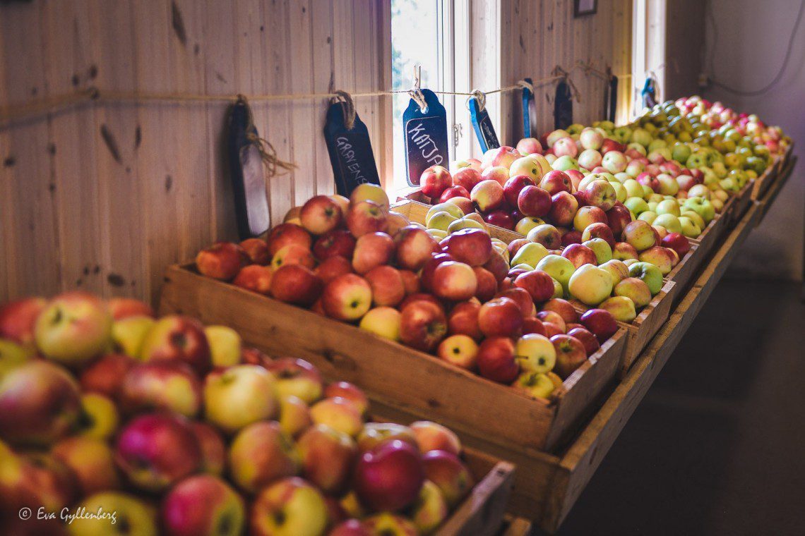 Äppelaffär med många sorters äpplen vid Ivösjön