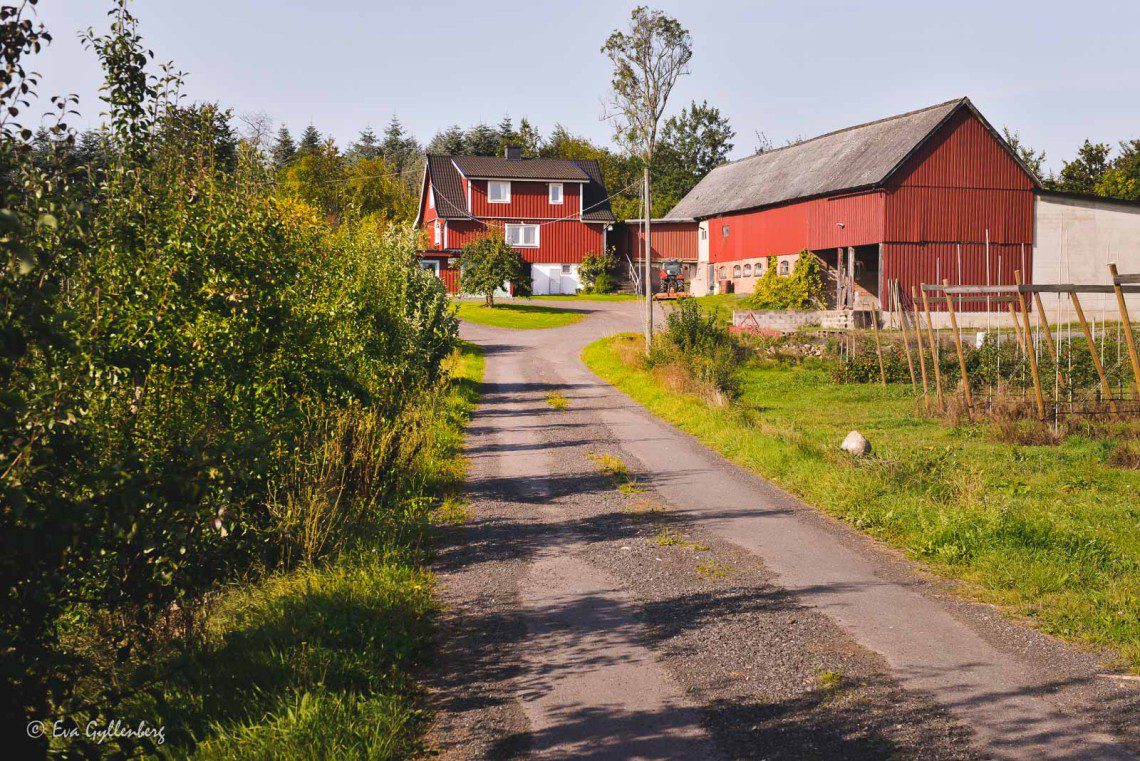 Gårdsbutik