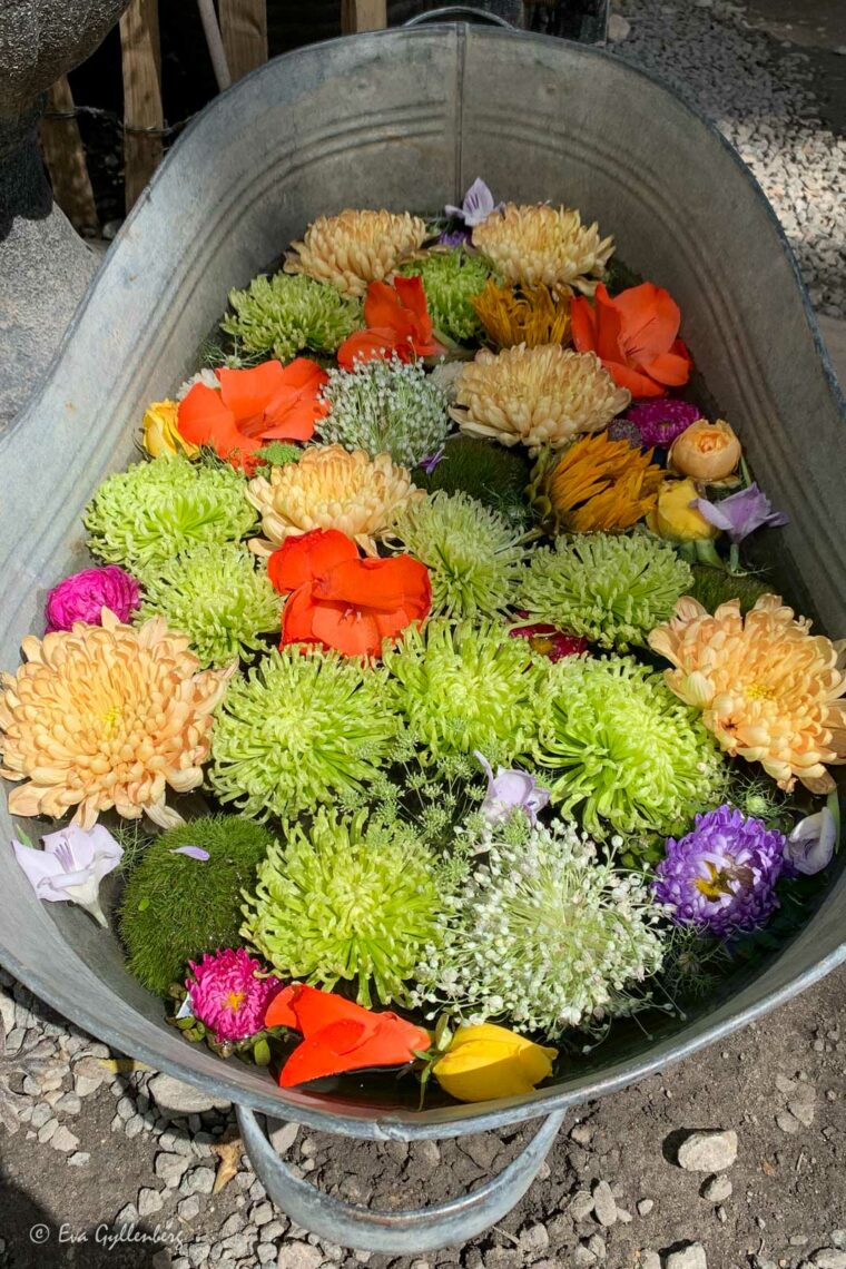 En zinkho med blommor