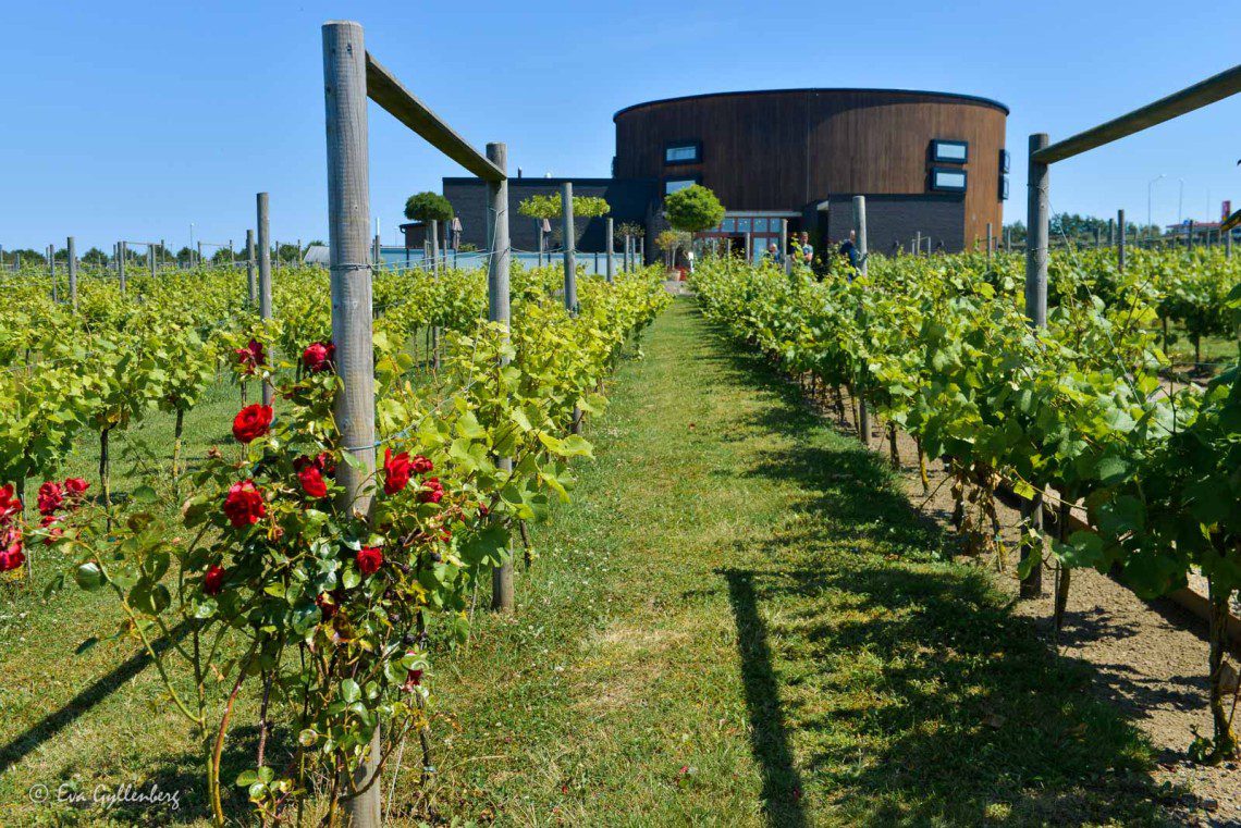 Nordic Sea Winery