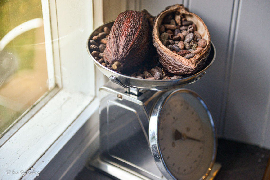 chokladbönor på en våg