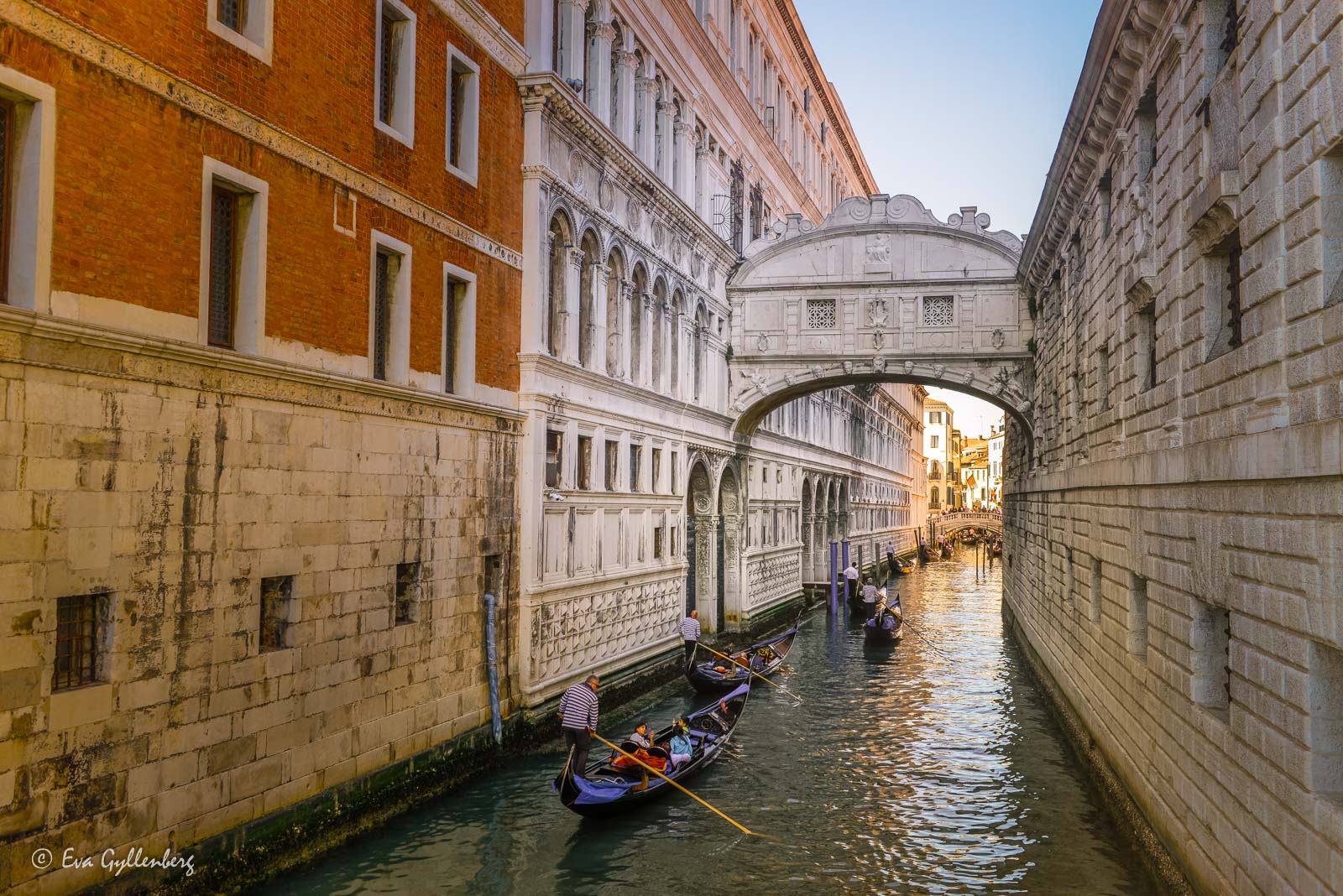 Suckarnas bro i Venedig