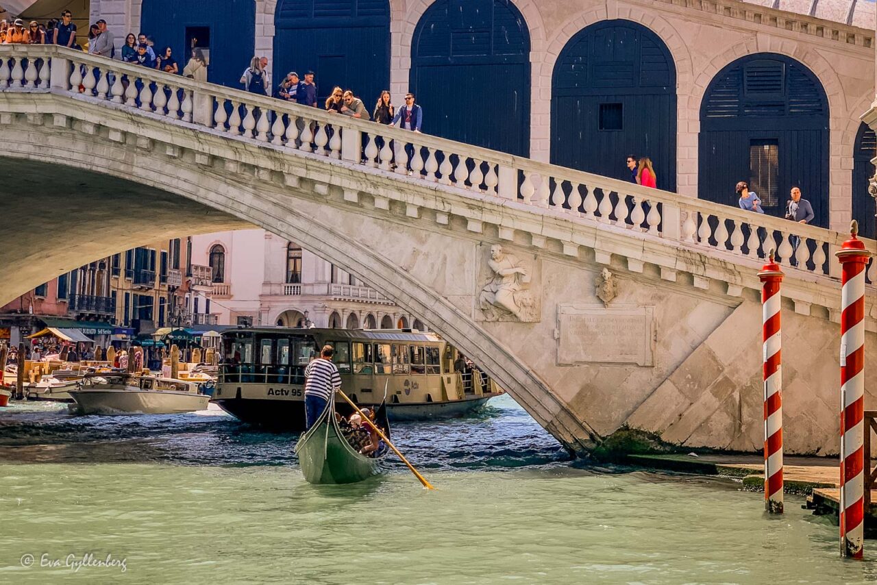 Rialtobron i Venedig