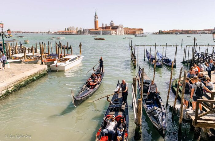 Gondolas in Venice