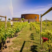 Nordic Sea Winery