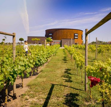 Nordic Sea Winery