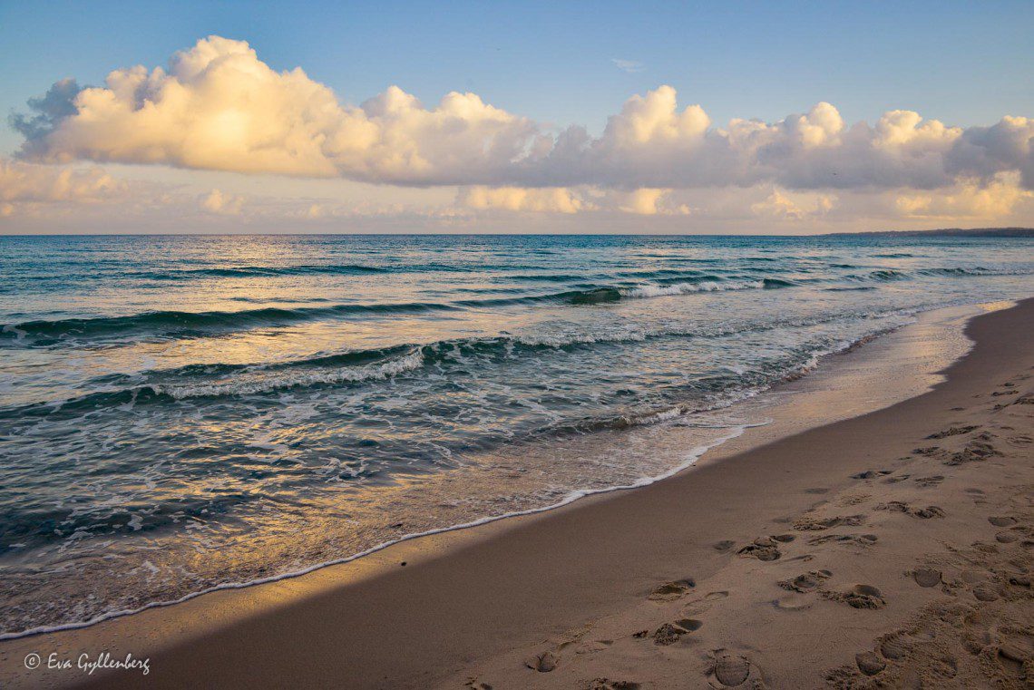 Höst på strand
