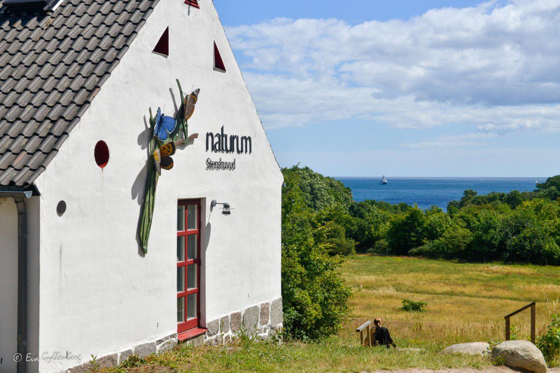 Naturum Stenshuvud