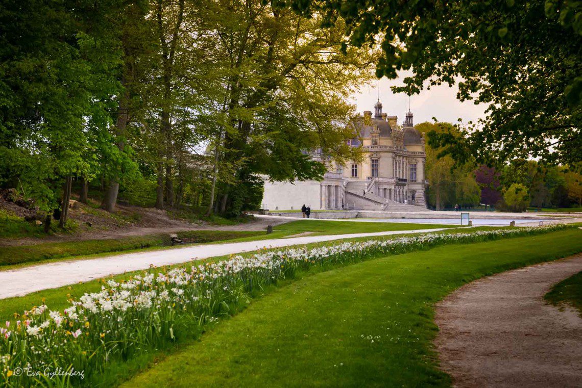 Vårblommor i slottsparken 