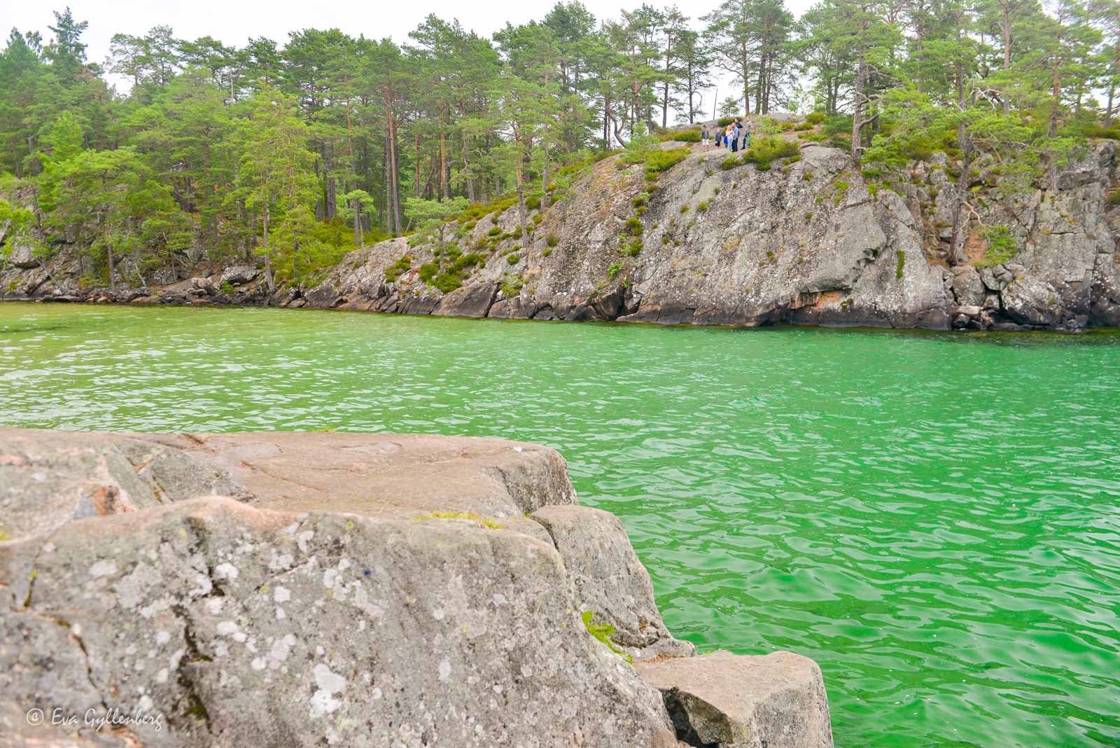 Djäknesundet