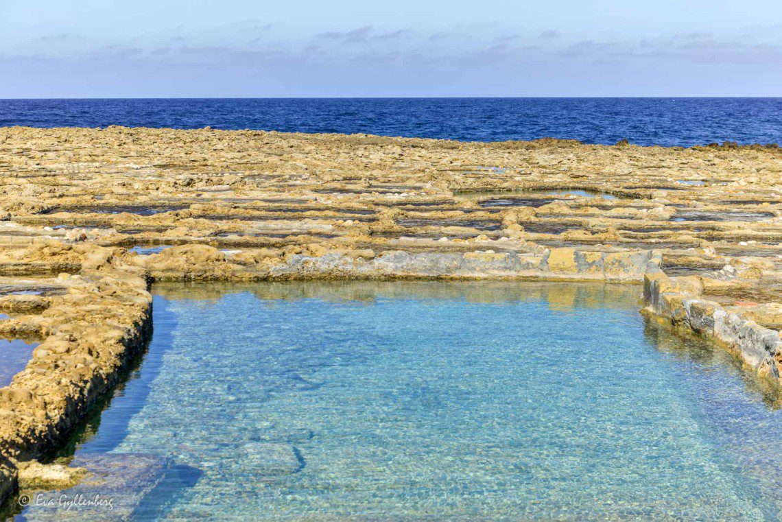 Gozo salt