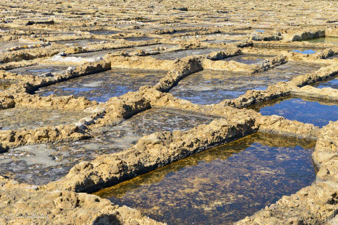 Gozo salt
