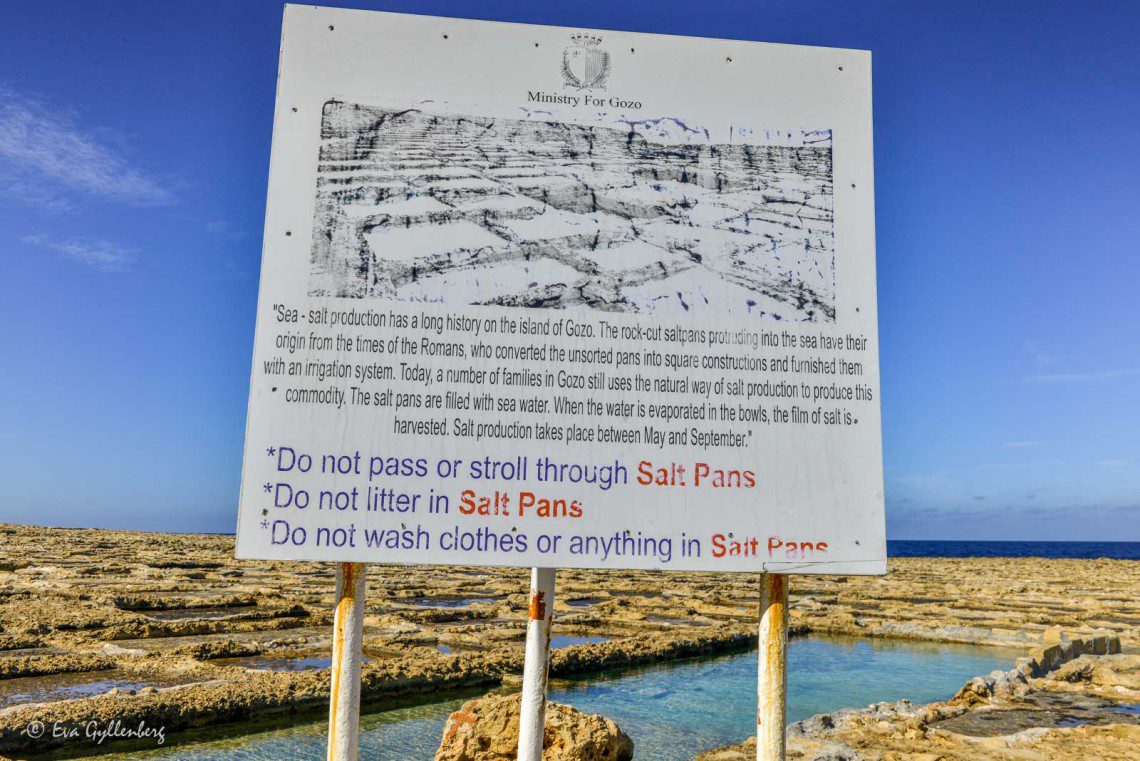 Gozo salt
