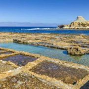 Gozo salt
