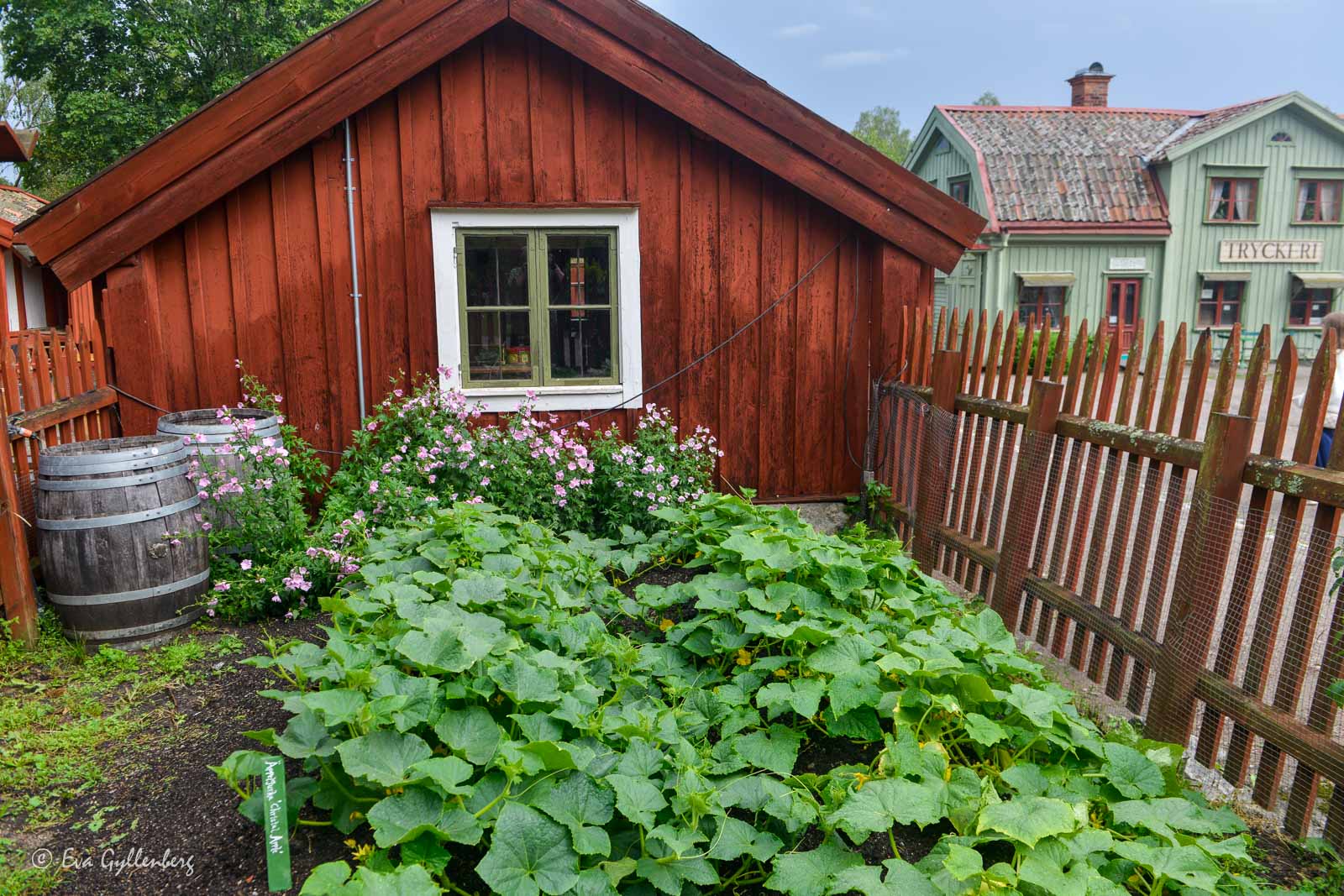 Vallby friluftsmuseum
