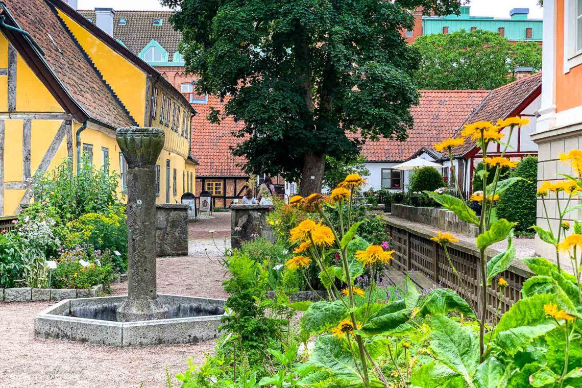 Grönskande blomsterlådor bland husen i Kulturen i Lund