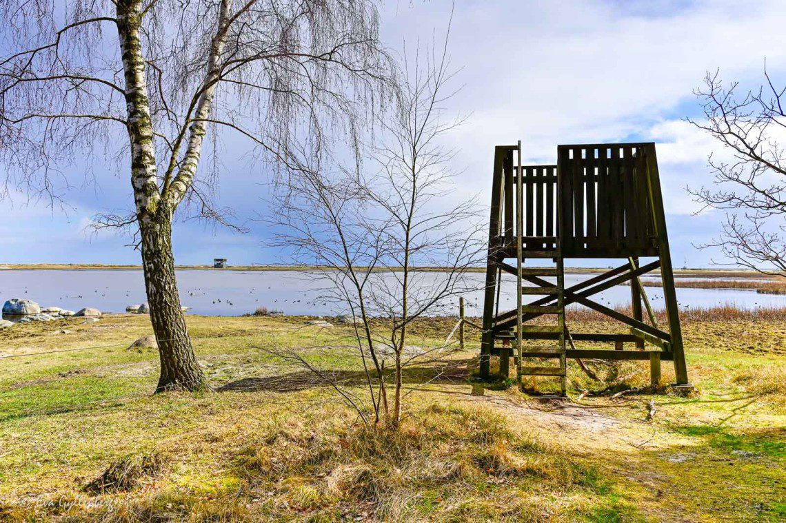 Fågeltorn vid lagunen