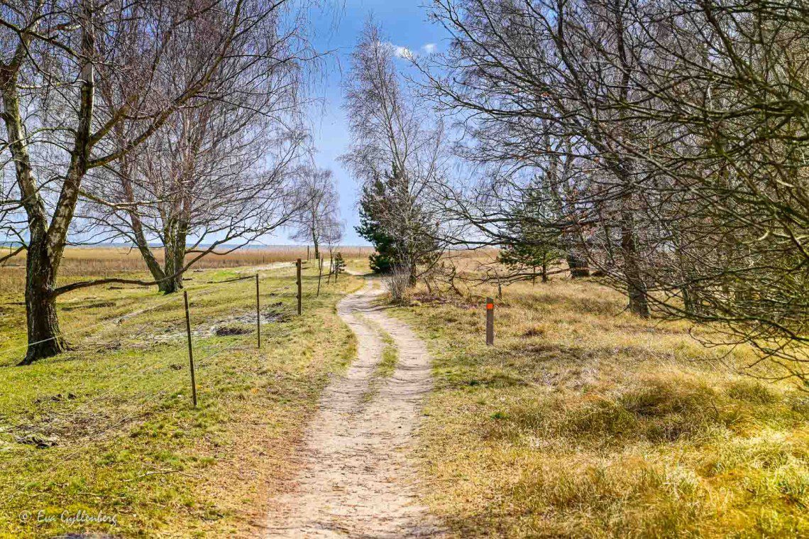Snirklig stig på Skåneleden utanför Åhus