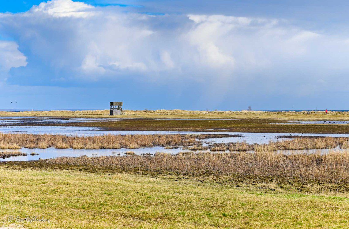 Bird tower at Åhus lagoon