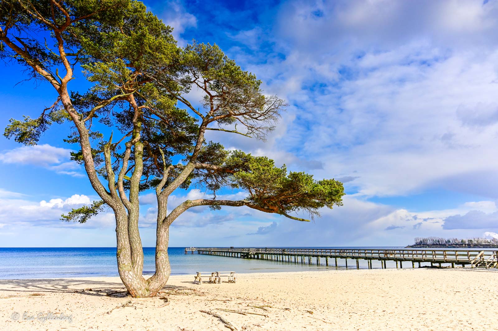 The blanket beach