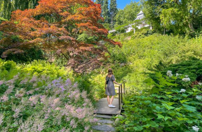 Woman in dress on a bridge in the Japanese garden
