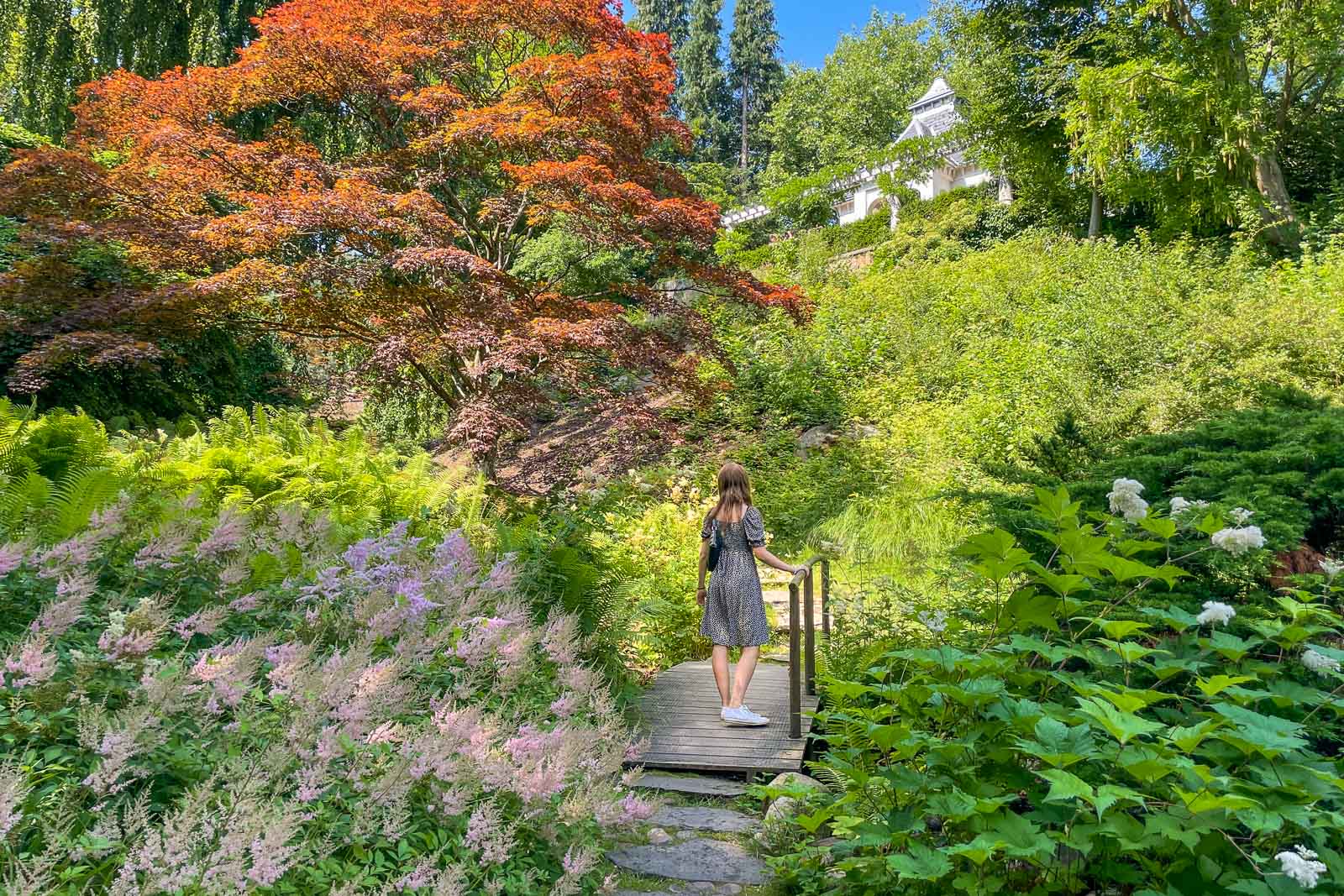 Woman in dress on a bridge in the Japanese garden