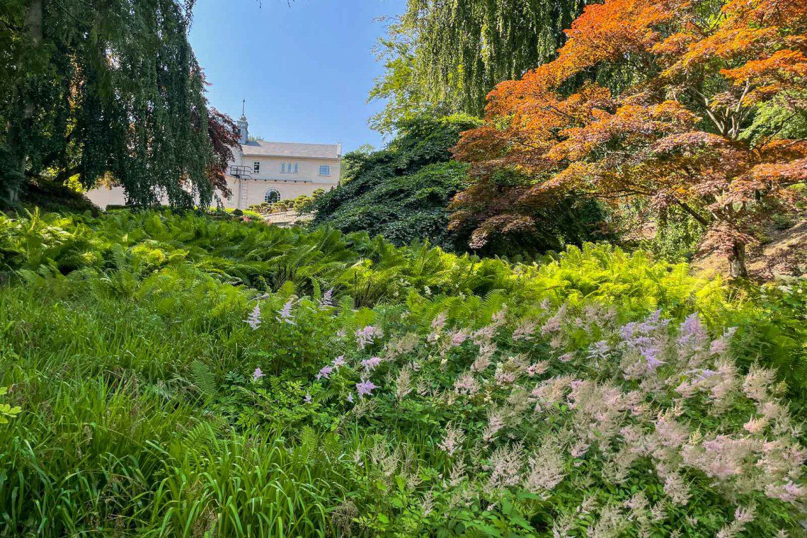 Huset på kullen sett från den japanska trädgården