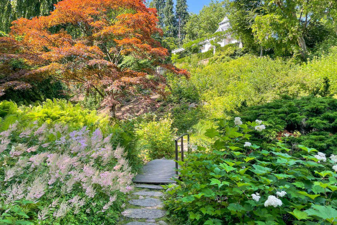 Färgglatt i den japanska trädgården