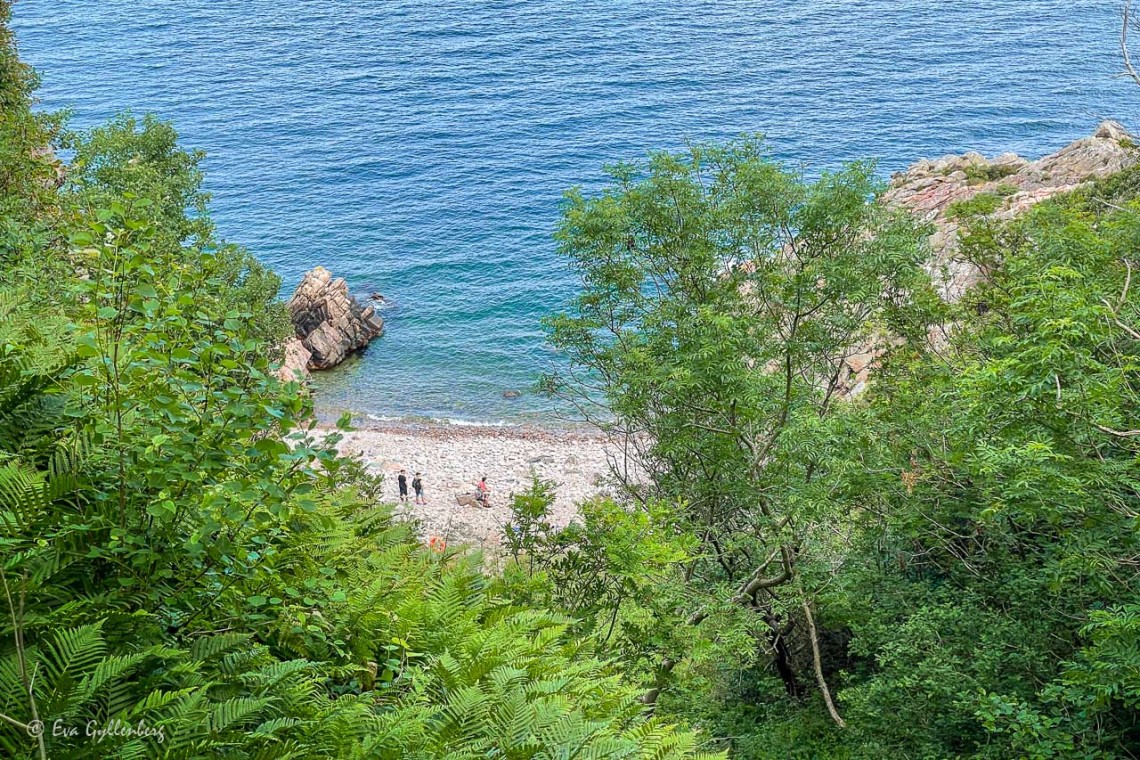 Utsikt över en vit strand med klarblått hav