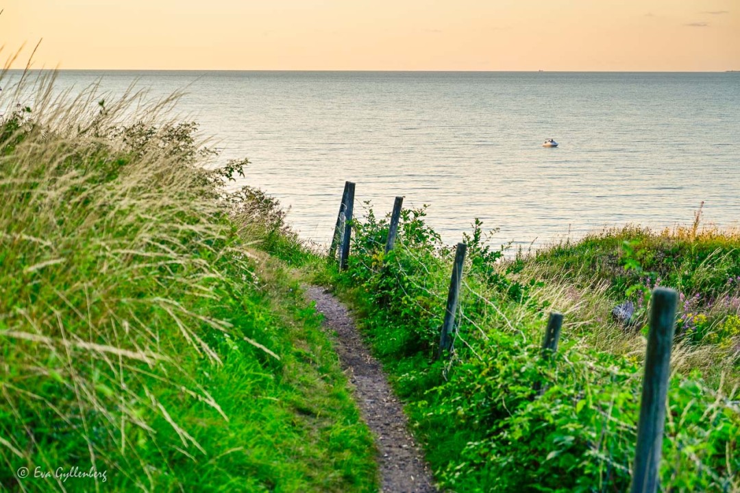 Path with fence overlooking the sea