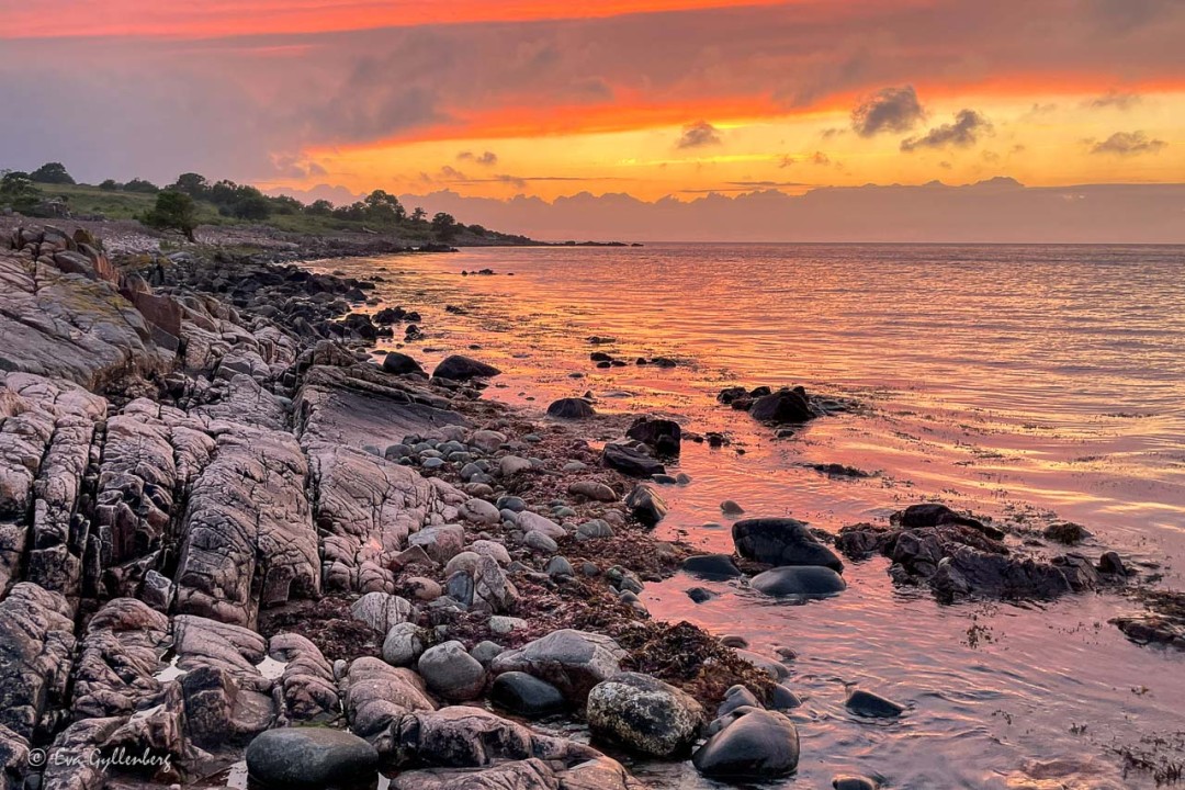 Dramatisk rosa-gul solnedgång vid Skärets klippiga kust