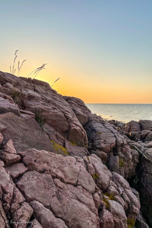 Röda klippor med hav i solnedgång