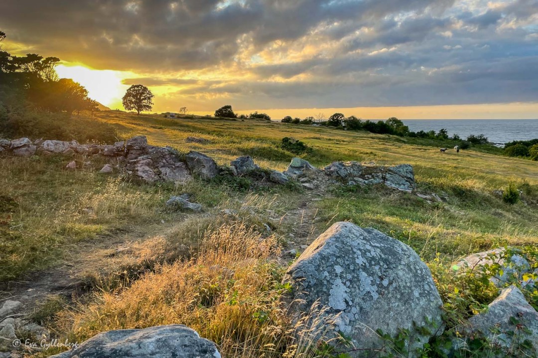 Nabbens naturreservat i solnedgång