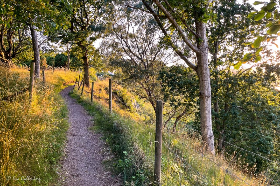 Promenadstigen till Arild från Skäret