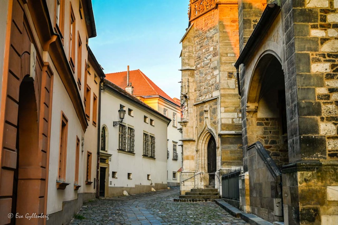 Sankt Peter och Paul katedralen i Brno