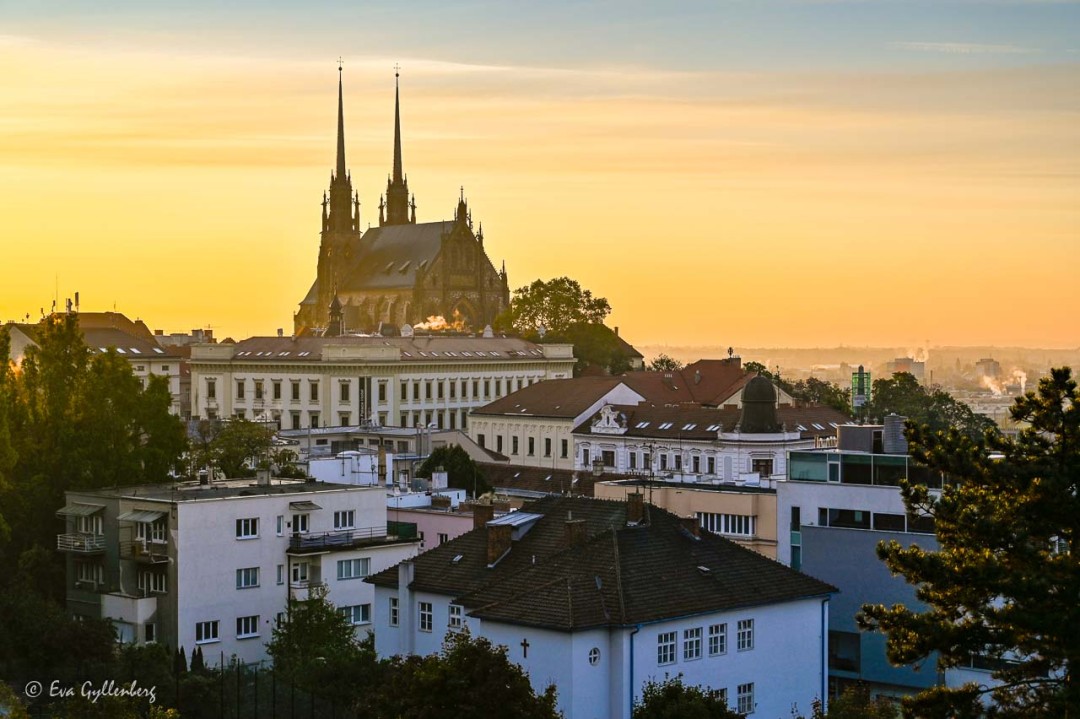 Sankt Peter och Paul katedralen i Brno - en av alla sevärdheter i Brno